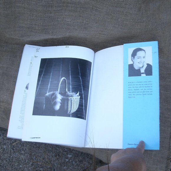 The Kingdom of the Cat by Roni Jay - Picture 16 of 16